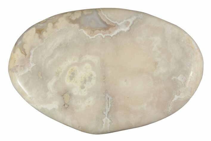 Polished Flower Agate Palm Stone - Madagascar #226838